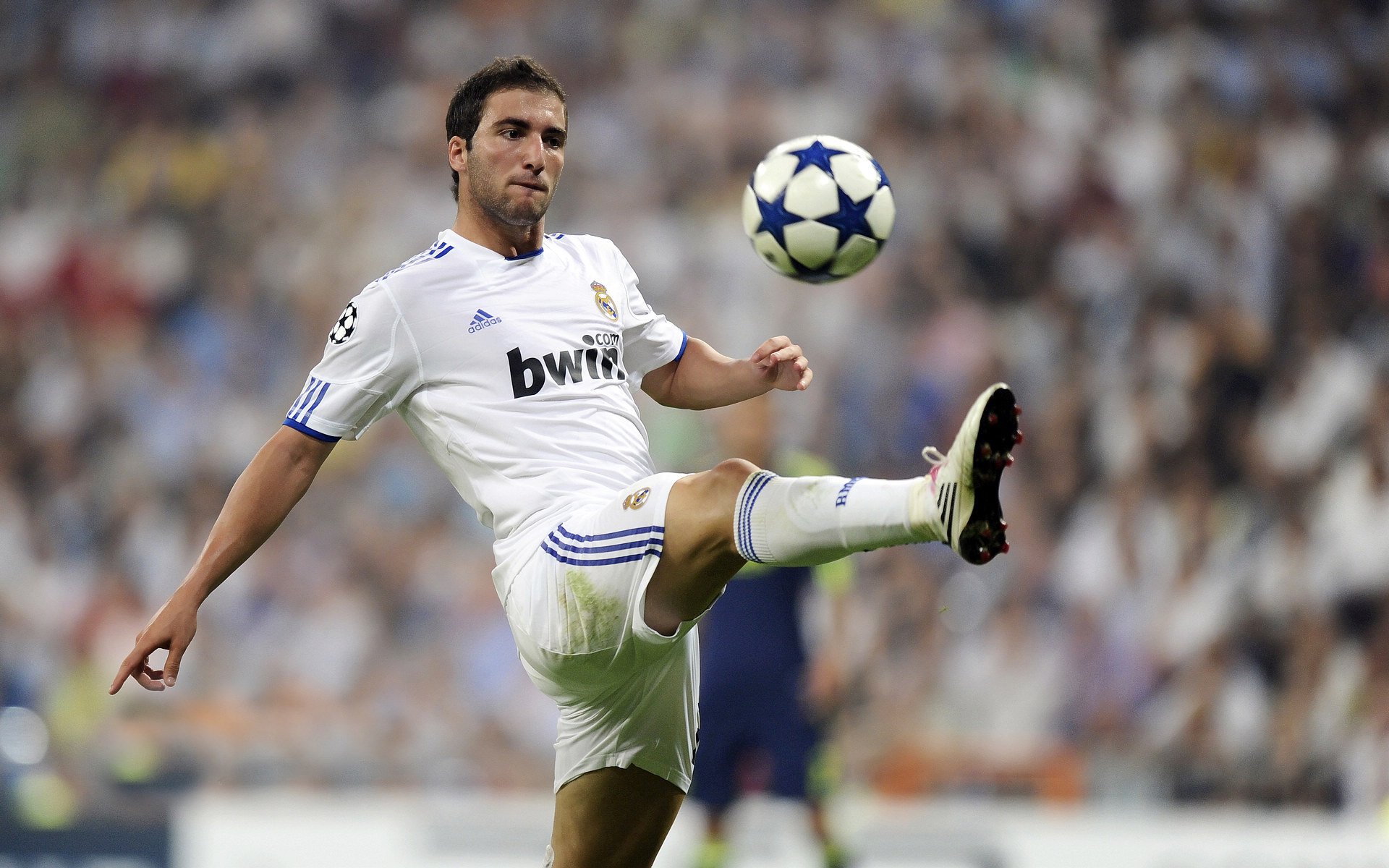 几内亚铁闸对阵那不勒斯尖刀，卡瓦哈尔，定义大场面的终极先生